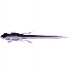 Libra Lures FROG TADPOLE TAIL, 21cm, 35g, 120 VIOLET SHINE, szagmentes csali (LL-FTT8.2-NT120)