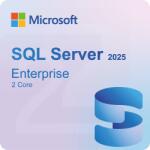 Microsoft SQL Server 2025 Enterprise 2 Core (7JQ00261)
