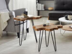 MAXISHOP Italia Collection Set de 2 mese laterale CAMROSE Lemn de tec Maro inchis (473926) Masa de cafea