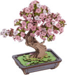 Robotime Rolife cseresznyervirág bonsai