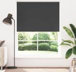 vidaXL Roló Elsötétítés 160 x 230 cm Fekete (240181)