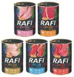 RAFI DOLINA NOTECI RAFI Mix 5 íz 400 g x 60