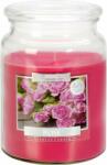 BISPOL Aura Maxi rose 500 g
