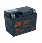 MW Power AGM VRLA 4-12R 12V 4Ah