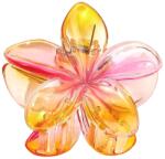 SOHO Moana Hawaii Virágos Hajcsat Sunset