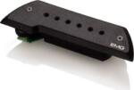EMG ACS Akusztikus hanglyuk-pickup