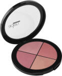 ADEN Cosmetics Pirosító Paletta / Blusher Palette 01