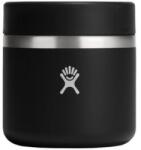 Hydro Flask INSULATED FOOD JAR 20 oz Termos 001 Black