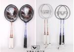 Vektory Sport Set rachete badminton VEKTORY SPORT (730071)