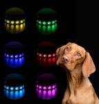 LEDvonal LED-es kutyanyakörv , állítható , USB , tölthető , vízálló , 70cm , L-es , tappancsos, sárga (421962)