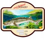 Perfekt hűtőmágnes, 3D hatású, horgászoknak, 7.5×9.3cm (MNLP-JESIOTR)