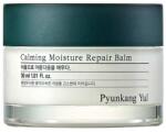 Pyunkang Yul Calming Moisture Repair Balm, 30ml