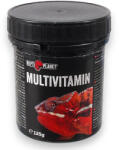 Repti Planet multivitamin hüllőknek 125g (RP83002)