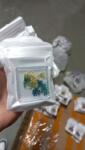 Global Fashion Nail art, dried flowers D29