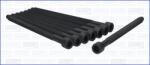 AJUSA Set surub, chiulasa AJUSA 81028800 (81028800)