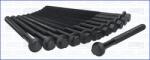 AJUSA Set surub, chiulasa AJUSA 81019900 (81019900)