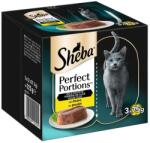  Sheba Perfect Portion - csirke 6 x 37, 5 g