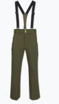 Descente Férfi sínadrág Descente Swiss sturdy green
