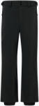 Descente Pantaloni de schi pentru bărbați Descente Swiss black