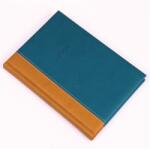 Realsystem Határidőnapló 2026 A/5 napi REAL Linett mustár-türkiz (5321-33)