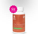 Wise Tree Naturals WTN Utazásbarát étrend-kiegészítő 30 kapszula - zamborigyumolcsle