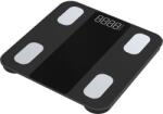 Welland Cântar personal inteligent Bluetooth FG2317WB până la 180 kg - analiză corporală, precizie 50 g, FitDays, negru Cantar baie