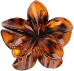 SOHO Moana Hawaii Virágos Hajcsat Leo