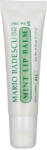 Mario Badescu Hidratáló ajakbalzsam mentával (Mint Lip Balm) 10 g