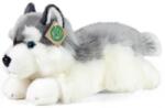 Rappa 30 cm-es fekvő plüss husky kutya KÖRNYEZETBARÁT (RP198975)