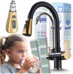 Ari konyhai csaptelep, fekete-arany, kihúzható fej, 3-utas, PZH (Bateria Kuchenna z Wyciąganą Wylewką 02)