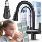 Ari Álló Konyhai Csaptelep, Kihúzható Fejjel, Fekete, Háromutas, Szűrős (Bateria Kuchenna Trójdrożna 0095)