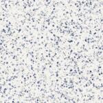 Marazzi Gresie interior portelanata albastru 60x60 cm, Marazzi Frammento Macro Azzurro (MN1L)