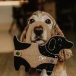 Milin Rajztábla - kutya