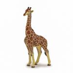 Papo Figurina Girafa Mascul (50149) Figurina