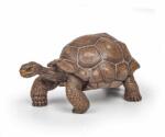 Papo Figurina Testoasa Galapagos (50161) Figurina