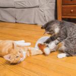 PetSafe FroliCat Fox Den Toy - macskajáték