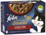 FELIX Fantasztikus DUO zacskók, ízletes válogatás zöldségekkel szószban 24 x 85 g