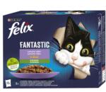 FELIX Fantastic válogatás zöldségekkel 48 x 85 g