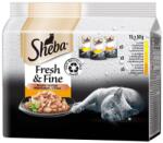 Sheba Fresh & Fine tasak macskáknak, baromfi válogatás 3 x (15 x 50 g)