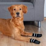 TRIXIE Zokni kutyának Non-Slip - csúszásmentes 2db, XS - S