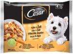 Cesar zacskós eledel válogatás kocsonyában 6 x (4 x 100 g)