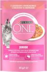 PURINA ONE JUNIOR mini tasakok lazaccal és sárgarépával szószban 6 x 85 g