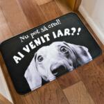 Brunofunnyshop Covoras interior catel AI VENIT IAR? !