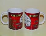 Brunofunnyshop Cana cadou CREIERUL FEMININ
