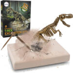 Mamido Set arheologic dinozaur - schelet T-Rex 3D schelet MT1550