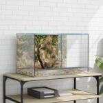 vidaXL Терариум със съхранение Прозрачен 60 x 40 x 40 см Стъкло (42020391)
