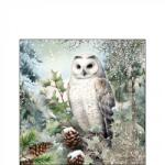 Ambiente Snowy owl papírszalvéta 25x25cm, 20db-os