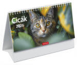 TopTimer Cicák, képes álló papírtáblás asztali naptár T058