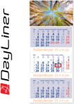 Dayliner Maxi Club, 3 tömbös 3 hónapos speditőr naptár - Erdő fejrésszel