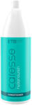 ETB Hair Balsam Profesional ETB Caresse Hydranourish - Hidratare & Reparare pentru Păr Uscat, Deteriorat sau Creț (EH05035)